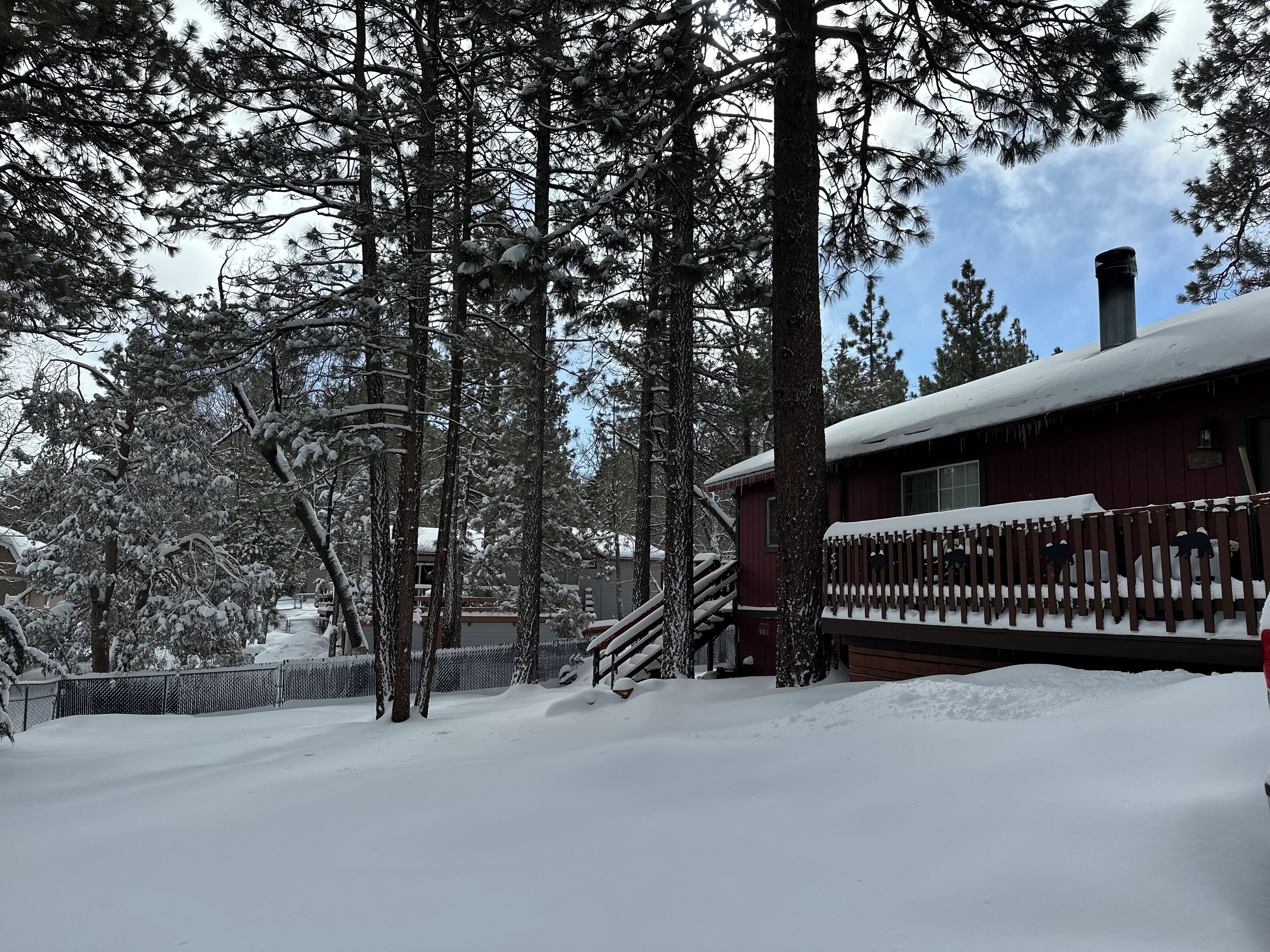 A cabin with a wooden deck and a snow-covered roof, surrounded by tall pine trees.