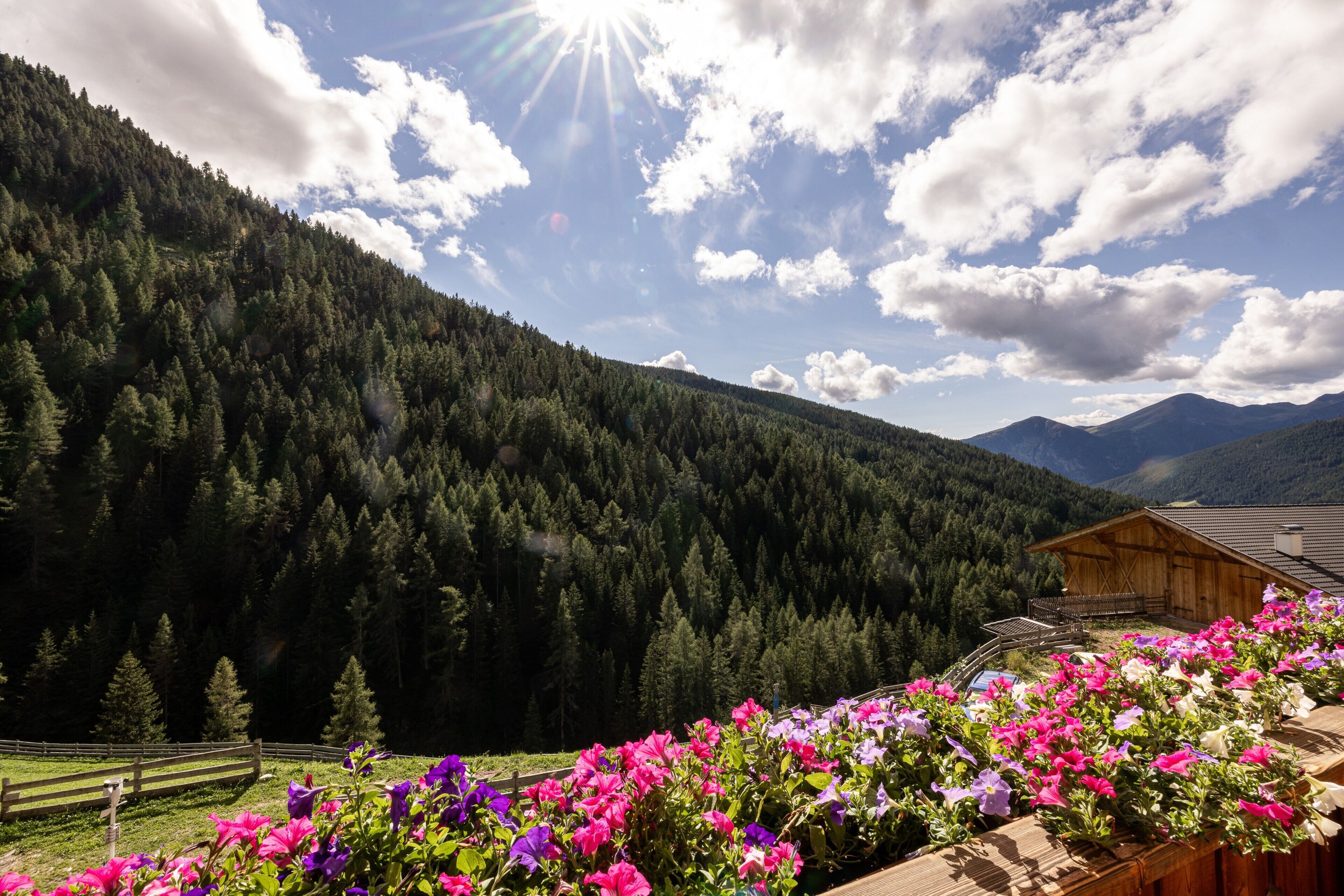 A mountainous landscape with a wooden cabin and a wooden fence.