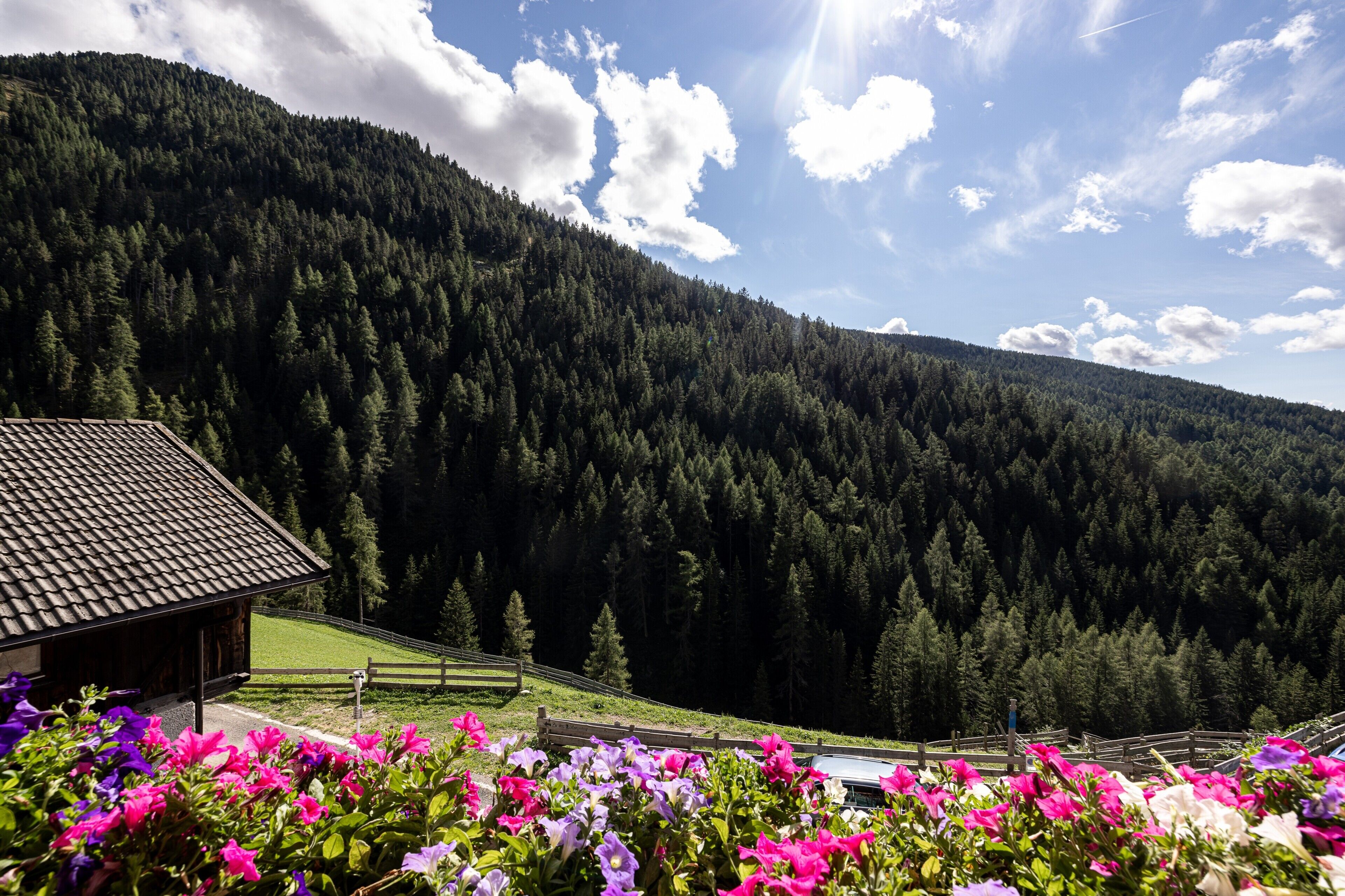 Áreas de la propiedad