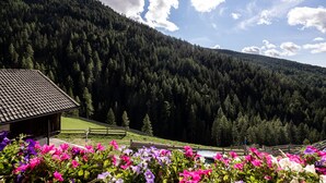 Un paisaje montañoso con una cabaña de madera y una valla de madera.
