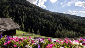 A mountain landscape with a wooden cabin and a wooden fence. - Holiday Apartment "Talblick Hinterproslhof" with Mountain View, Balcony & Wi-Fi (Sarentino)
