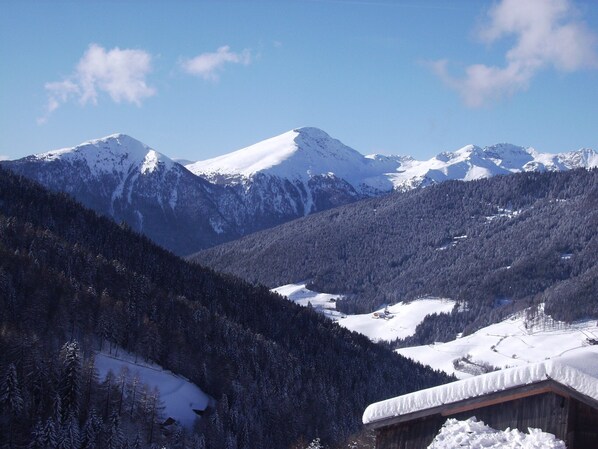 A mountainous landscape with snow-covered peaks and a forested valley.