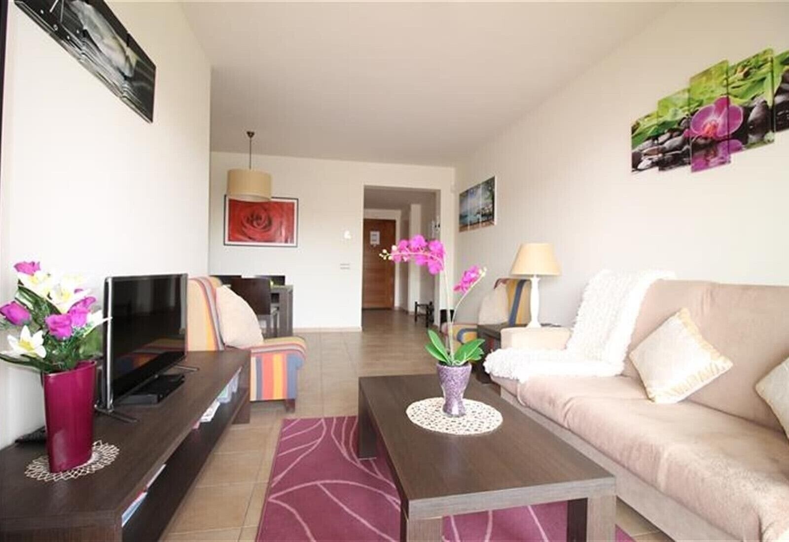 Una sala de estar con televisión, sofá, mesa de centro y plantas decorativas.