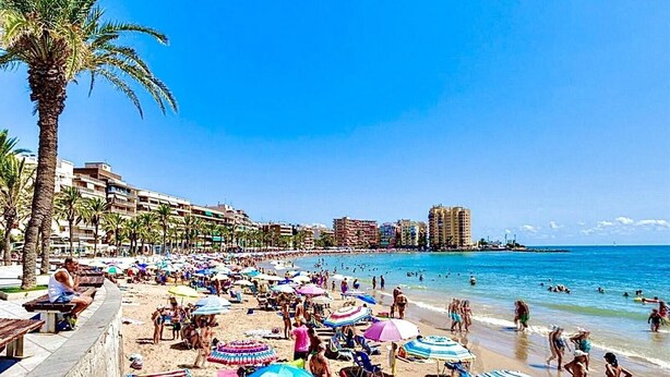 A beach with palm trees, beach umbrellas, and people.