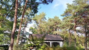 A house surrounded by trees, with a visible path leading to the entrance.