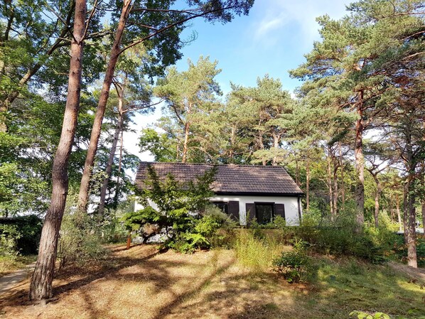 A house surrounded by trees, with a visible path leading to the entrance.
