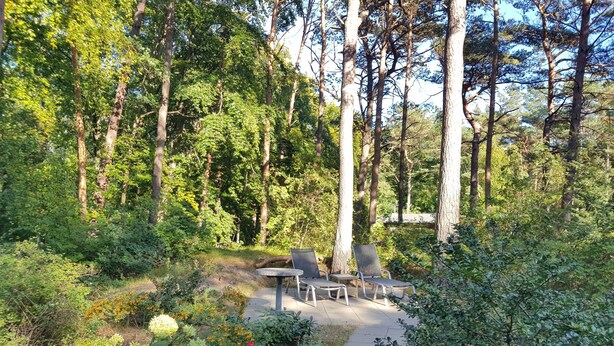 A pathway leading to a seating area with chairs and a table, surrounded by dense greenery and trees.