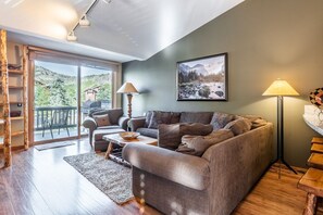 TV, fireplace, DVD player