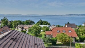 A residential area with houses, a lake, and distant mountains.