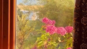 Een uitzicht op bergen en roze bloemen vanuit een raam.