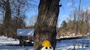 A snowman with a yellow hard hat and a red scarf, standing next to a tree in a snowy outdoor setting.