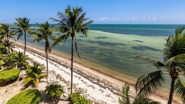 A beach with clear turquoise water, palm trees, and a sandy shore. - GOOD VISIBILITY ~ 4 Bedroom, 3 Bathroom Condo w/ Pool and Ocean Views! (Key West)
