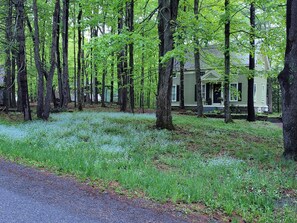 Ulkopuoli