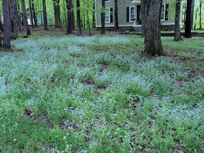 Ulkoalueet