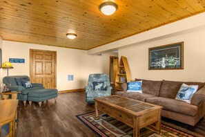 TV, fireplace - Cozy and Quaint Leech Lake Escape! (Walker)