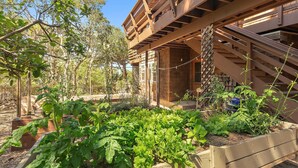 A wooden deck with a staircase leading to a covered area, surrounded by lush green plants and trees.