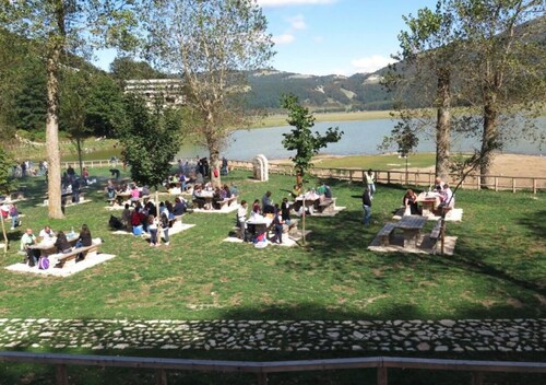 Brain Residence Laceno