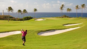 A golf course with a view of the ocean and palm trees.