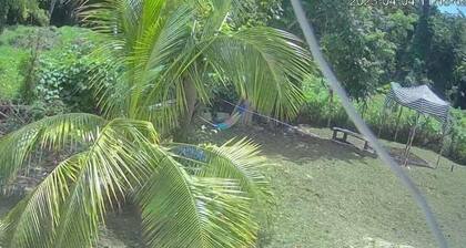 My Little Cabin In Negril by RedAwning