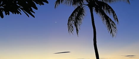 Beach nearby, sun-loungers, beach towels