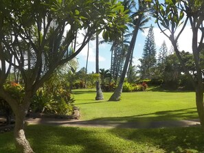 Property grounds - Oceanfront! Wavecrest Building "A" on the Island of Moloka'i. (Kaunakakai)