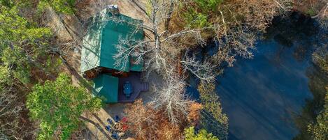 A cabin with a green roof, surrounded by trees and a body of water.