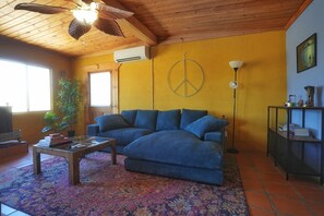 Smart TV, fireplace, books, music library