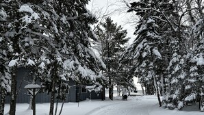 En snötäckt gata kantad av träd och en byggnad med en väl synlig skylt.