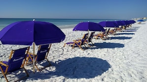 Una playa con hileras de sillas y sombrillas moradas.