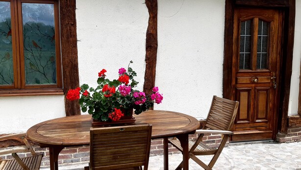 Een houten tafel met stoelen en een potplant met rode en roze bloemen.
