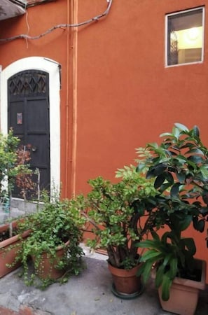 A courtyard with a black door, orange walls, and several potted plants.