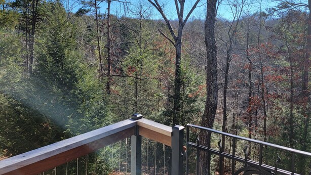 A forested area with a wooden deck and metal railing. - Spacious apartment, deep in the woods, with private entrance and deck (Cleveland)
