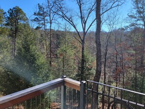 A forested area with a wooden deck and metal railing. - Spacious apartment, deep in the woods, with private entrance and deck (Cleveland)