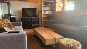 Un salon confortable avec une cheminée, un téléviseur, une bibliothèque et un canapé.