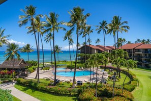 Ein Resort mit Swimmingpool, Palmen und Meerblick.