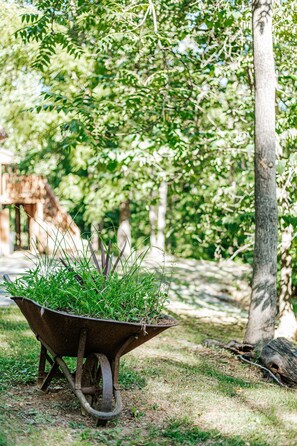 Un carrito de jardinería lleno de plantas verdes en un jardín.