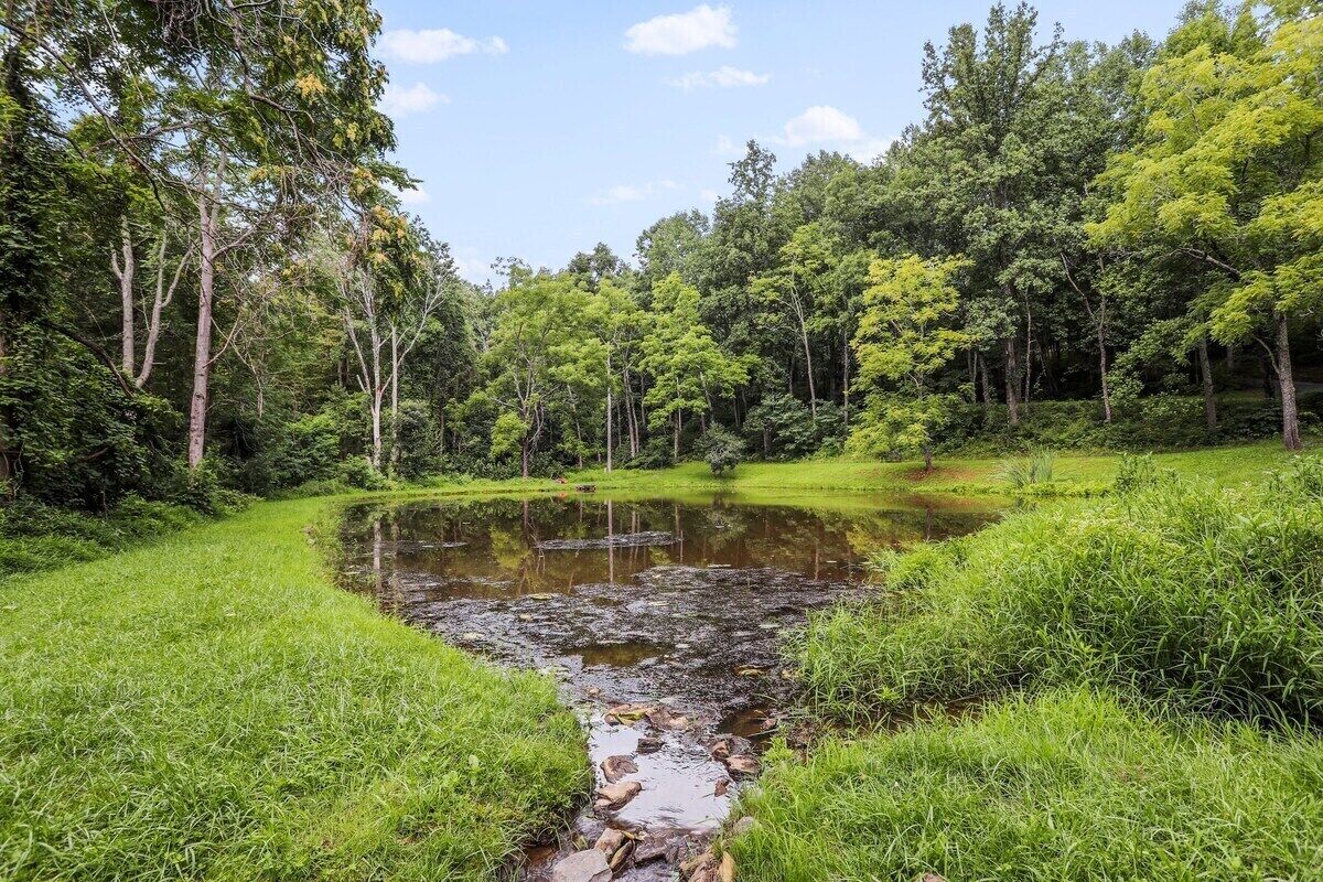 A natural landscape with a pond, surrounded by dense trees and grassy areas.