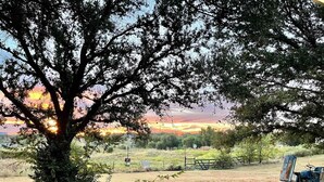 A rural landscape with a large tree, a tractor, and a fence in the foreground. - Country Living at its Best! (Roanoke)