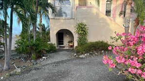 Een huis met een grindpad, palmbomen en een bloeiende plant.