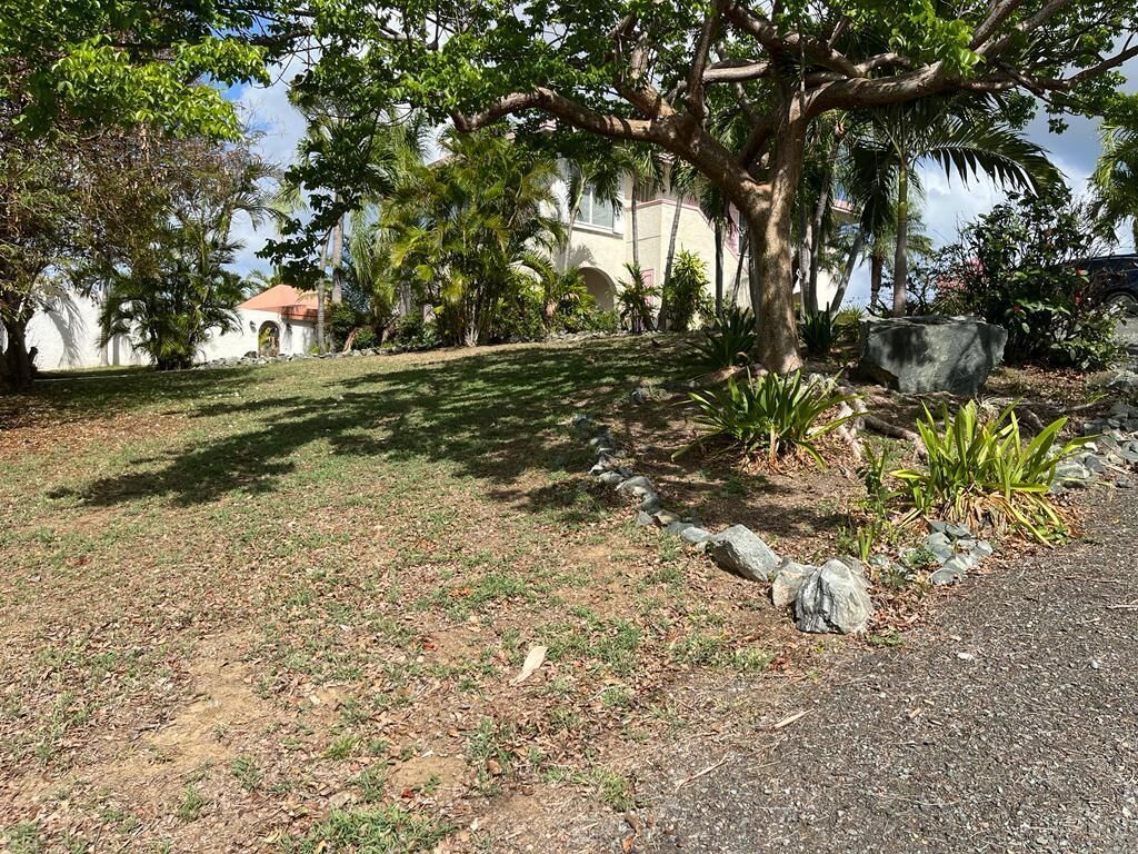 Un jardí ben cuidat amb un arbre gran, un edifici blanc amb teulada vermella i un camí pavimentat.