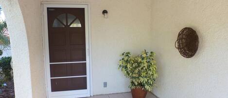 A door with a frosted glass panel, a potted plant, and a wall-mounted decorative item.