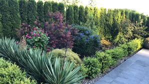 Un jardín ajardinado con diversas plantas y un camino pavimentado.