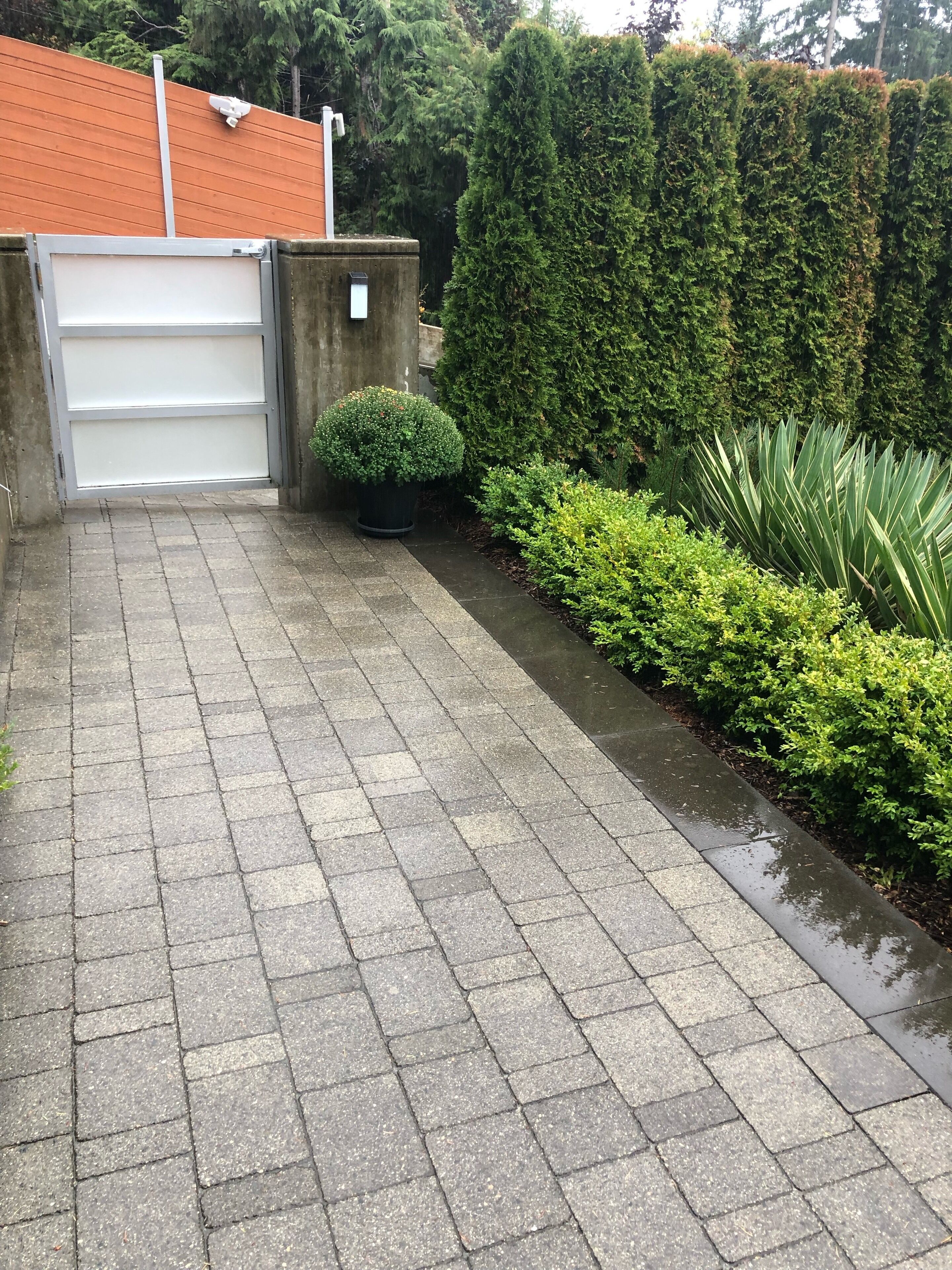 Une allée pavée mène à un garage doté d’un portail métallique, le tout étant entouré de haies soigneusement taillées et, au fond, d’une haie haute et dense.