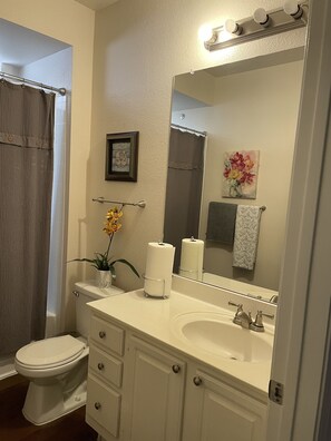 Duschwanne, Haartrockner, Handtücher, Toilettenpapier