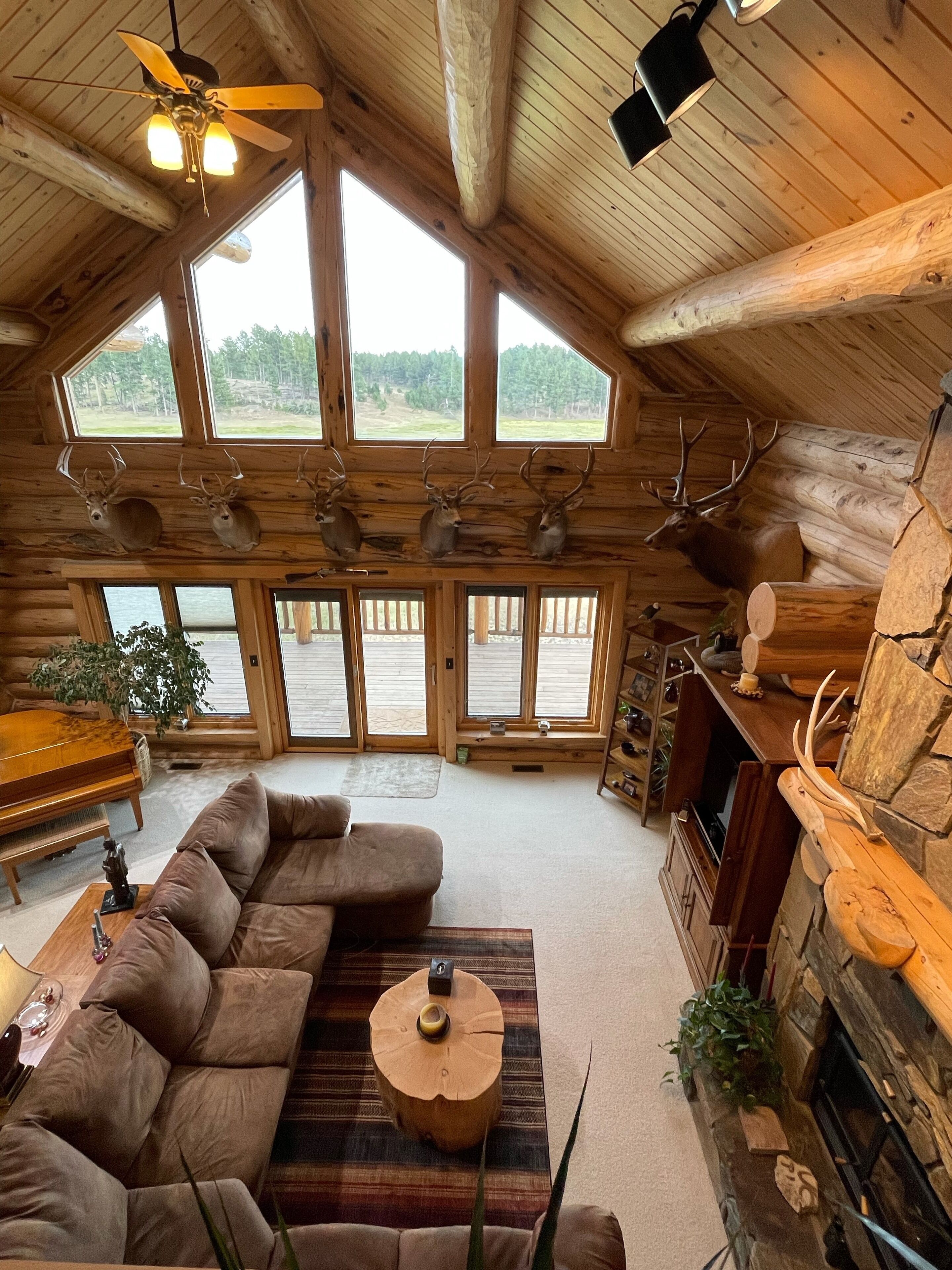 Älytelevisio, takka