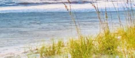 Playa en los alrededores