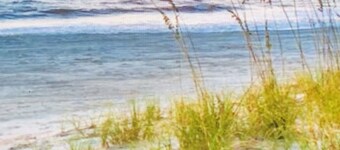 Hunter's Point Family Retreat - Nearby St Simon and Jekyll Island Beaches