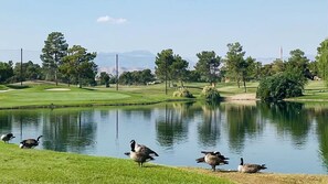 Golf - GOLF COURSE & LAKE VIEW 24/7 SECURITY GUARD NEAR LAS VEGAS STRIP FULL FURNISHED (Las Vegas)