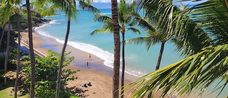 在海滩
