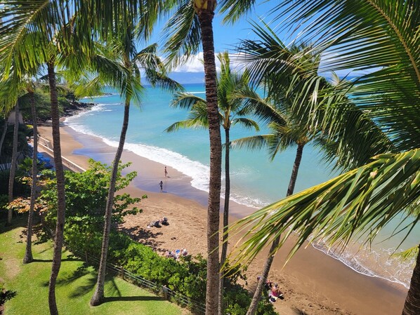 Relax on the beach with a serene ocean view, surrounded by palm trees and beach amenities.